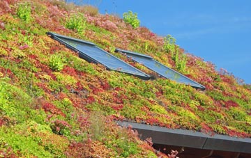 Belaugh living roof systems