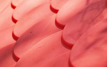 Belaugh plastic roof costs